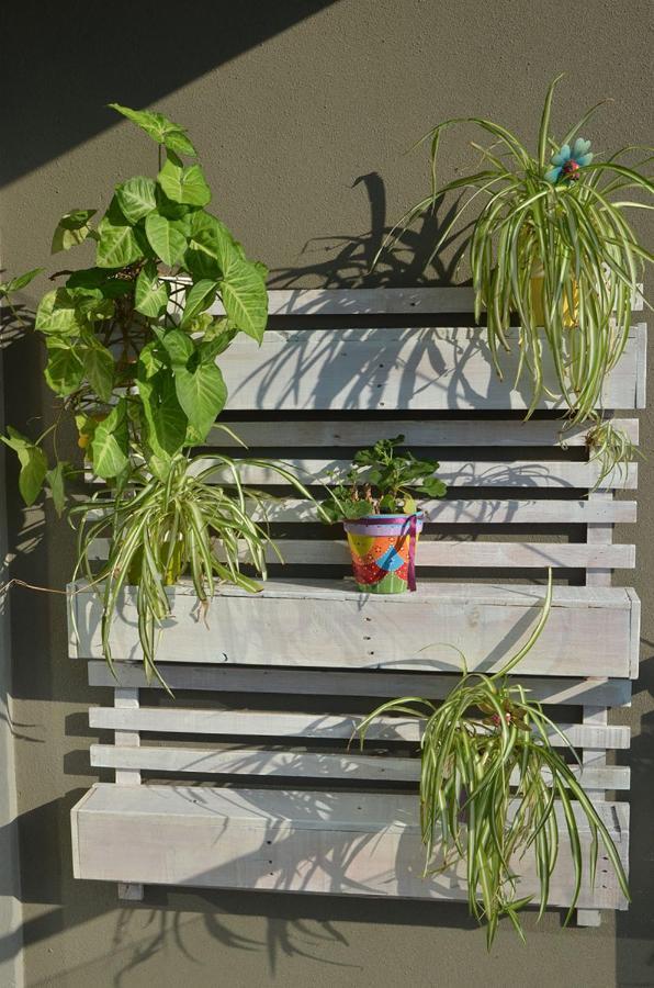 Monoambiente La Pitota Paraná Exterior foto